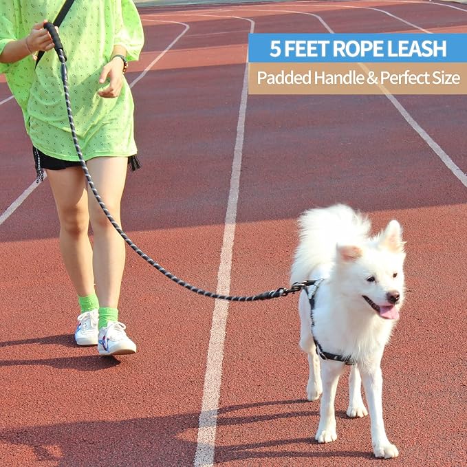 2/4/5/6 FT Dog Leash with Comfortable Padded Handle and Highly Reflective Threads for Small Medium and Large Dogs (5FT-1/2'', Grey) - Image 5