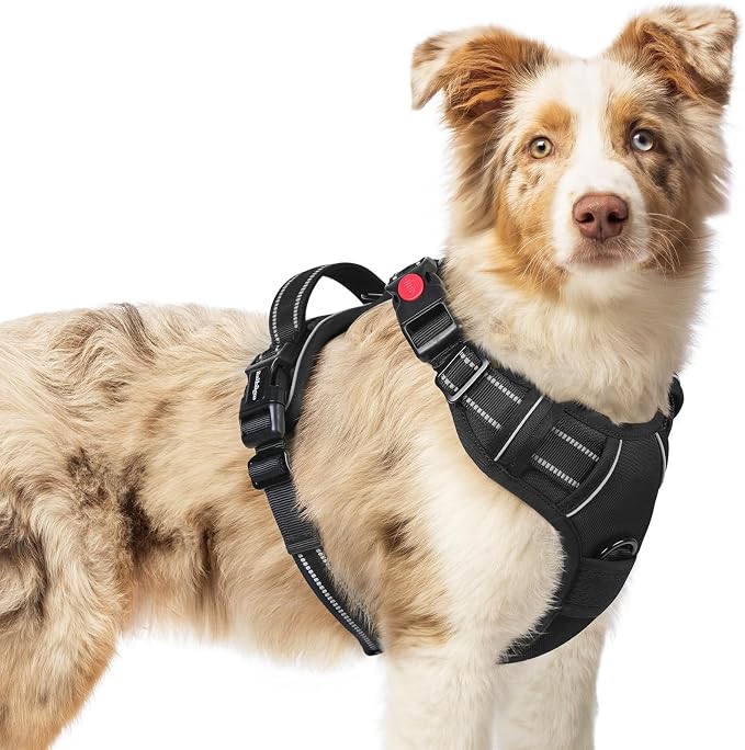 rabbitgoo Dog Harness Medium Sized, Updated Easy On & Off with 3 Buckles | No Pull No Choke, Walking with 2 Clips and Handle, Adjustable Soft Reflective, Sky Blue, Medium by rabbitgoo