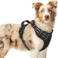 rabbitgoo Dog Harness Medium Sized, Updated Easy On & Off with 3 Buckles | No Pull No Choke, Walking with 2 Clips and Handle, Adjustable Soft Reflective, Sky Blue, Medium by rabbitgoo