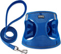 Dog Harness with Leash Set, Step-in Adjustable Puppy Pet Vest, Blue XL | Lightweight Breathable Air Mesh, Night Safety Reflective, No Pull Puppy Vest Harnesses for Small Medium Large Dogs, Cats by BOOMIBOO