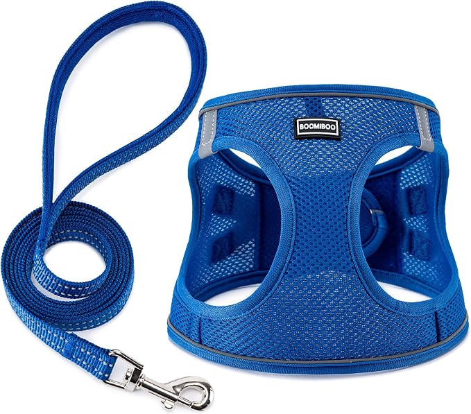 Dog Harness with Leash Set, Step-in Adjustable Puppy Pet Vest, Blue XL | Lightweight Breathable Air Mesh, Night Safety Reflective, No Pull Puppy Vest Harnesses for Small Medium Large Dogs, Cats by BOOMIBOO