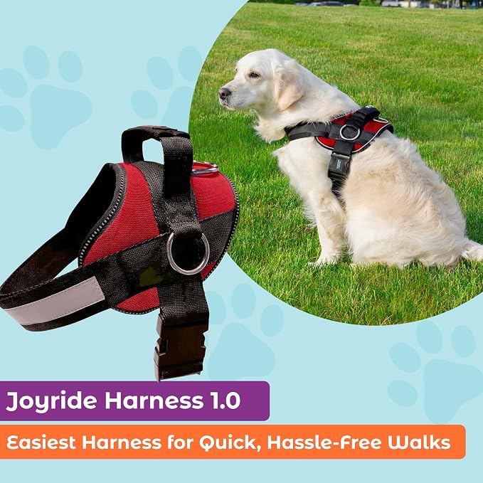 Joyride Basic Dog Harness 1.0 | Red Rush | L | Adjustable pet vest with 3 side leash rings for training, walking and improved control for small, medium or large dogs - Image 3