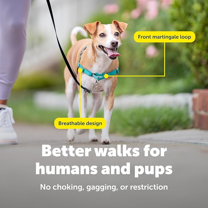 PetSafe Easy Walk Harness, No Pull Dog Harness, Small, Teal | Patented Martingale Loop Gives Gradual Shoulder Pressure to Stop Pulling, Front-Chest Leash Clip Prevents Gagging - Image 4