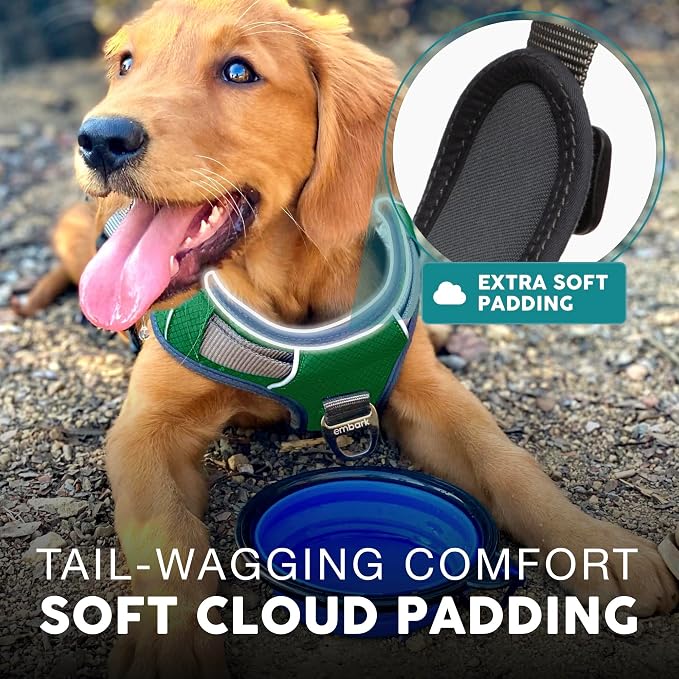 Embark No Pull Dog Harness, Reflective Adjustable Training Vest, No Choke | Adjustable straps fit all dog breeds with sturdy hooks; 360° reflective trim, soft padded Harness Design for All Dogs - Image 8