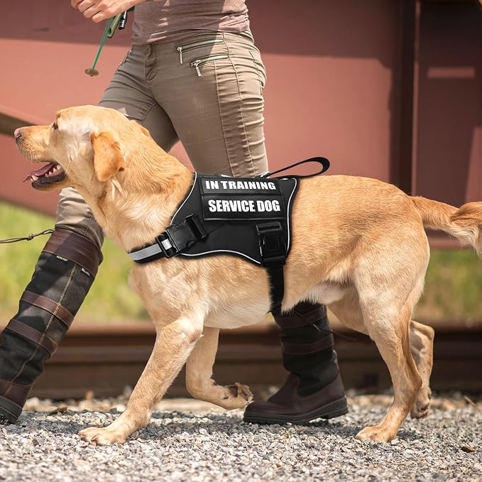Service Dog Vest Harness and Leash Set+10 Patches,No Pull&Easy Walk Reflective Dog Harness with Soft Padded Handle for Training/Everyday,Fit Small/Medium/Large/Extra-Large Dogs (Black S) | No Pull&Adjustable Reflective Dog Harness Small Sized,Dog Leash... - Image 7