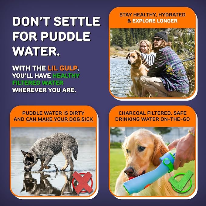 Lil Gulp Dog Water Bottle 15 Fl oz Filtered Portable Travel (Sherbet Soaker - Image 6