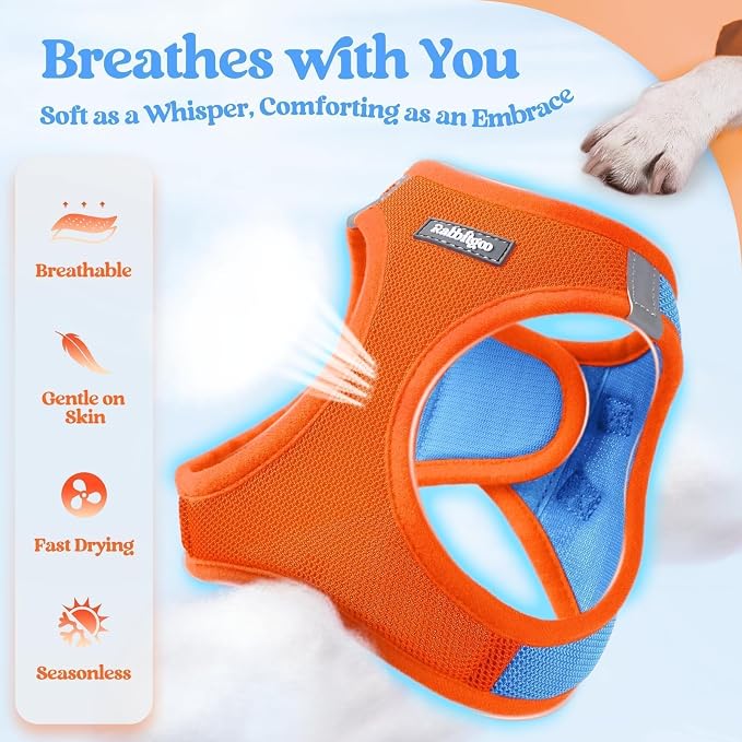 rabbitgoo Dog Harness Small Sized and Leash Set, Step-in Puppy Pet Vest | Light, Soft, Breathable Air Mesh, Easy on and Remove with Hook & Loop, Secure Reflective for Walking, Blue & Orange XS - Image 4