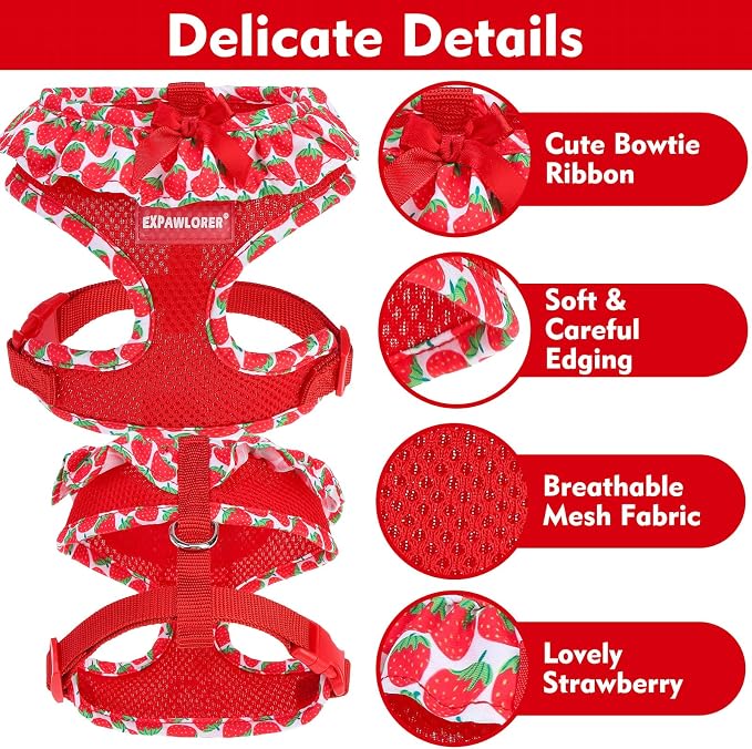 EXPAWLORER Step-in Dog Harness Small Sized and Leash Set | Cute Small Dog Harness No Pull Girl, Breathable Soft Mesh Padded, Adjustable Light Puppy Vest for Dogs Cats, Strawberry M - Image 4
