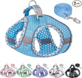Summer Soft Dog Harness and Leash Set with Breathable Diamond Mesh | Breathable Diamond Mesh, Reflective No-Pull Pet Harness for Outdoor Walking, Training for Small Dogs, Cats Blue XXS by PetSuppliesManufacturer