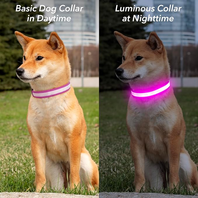 Visinite LED Dog Collar USB Rechargeable, Reflective Light Up Pet Collar for Night Walking, Adjustable Glow Collar for Small Medium Large Dogs (Pink, M) - Image 5
