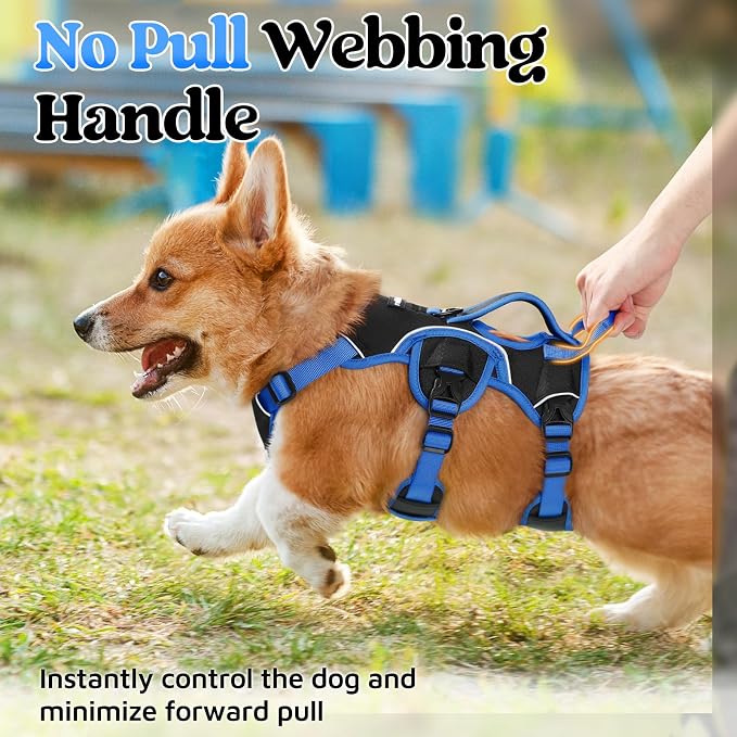 rabbitgoo Escape Proof Dog Harness for Small, No Pull with Lift Handle | No Escape, Full Soft Padded, Reflective Adjustable Vest, Leash Clip for Walking Hiking Training, Blue & Black, Small - Image 2