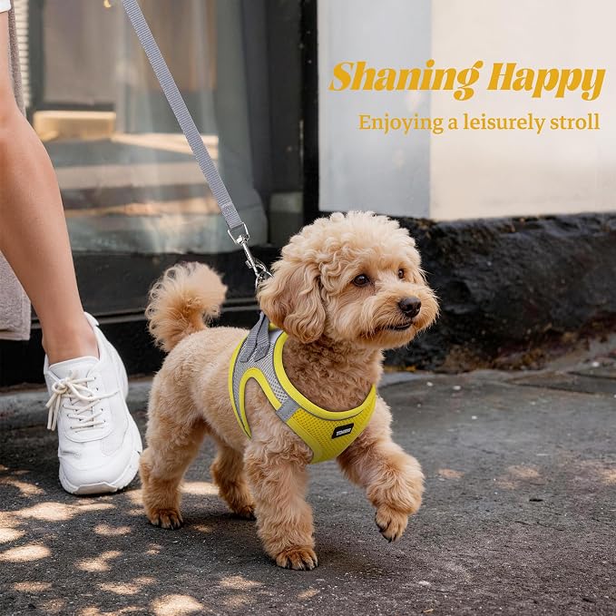 No Pull Dog Puppy Harness and Leash Set Reflective Mesh Vest Small - Image 6