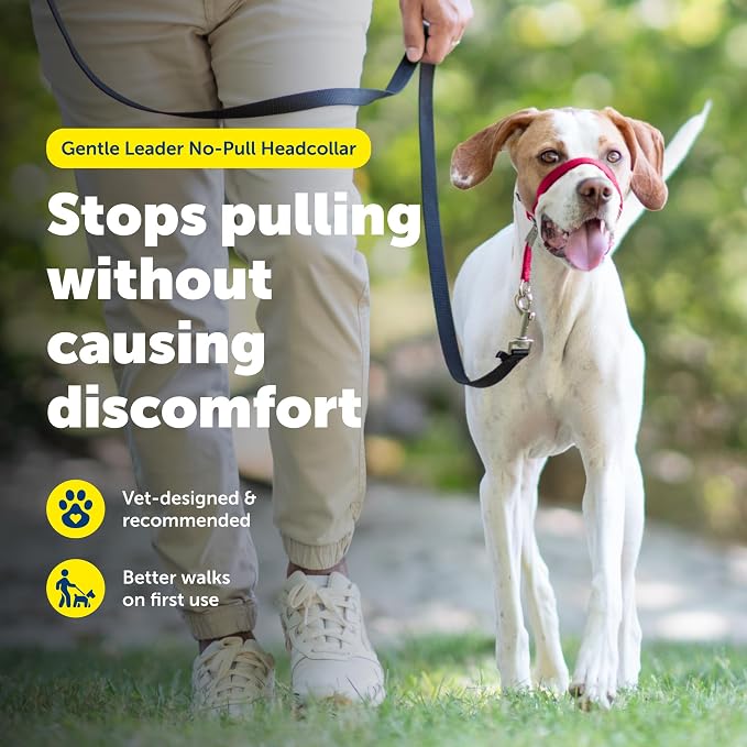 PetSafe Gentle Leader No Pull Dog Headcollar, Red, Medium | Veterinary Behaviorist-Designed No-Pull Headcollar Redirects Pulling Instinct, Padded Neoprene Nose Loop, Quick-Snap Fit - Image 2