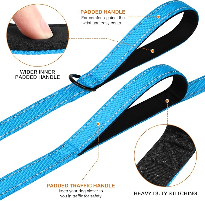 Joytale Dog Leash for Large Dogs that Pull, Double Handle, 6FT, Aqua Blue | Traffic Handle for Control, Padded Handle Reduces Hand Strain, Reflective Stitching for Night Safety, Strong Nylon Webbing - Image 2