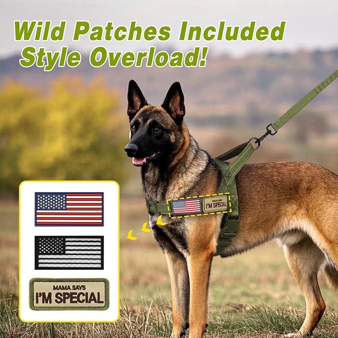 Forestpaw No Pull Dog Harness with Large Handle,Comfortable,L,Green | Adjustable Fits Chest 26-31",50-80 lbs,Slip On,Quick Release,Easy Control,Soft Padded,for Medium Large Dogs Walking Training - Image 5