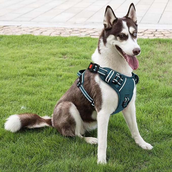 Timos Dog Harness, No Pull Large Sized with 3 Buckles, Blackish Green, L | Reflective, No Choke, Easy On & Off, Adjustable Soft Padded, Front & Back 2 Clips and Control Handle for Walking Training - Image 5