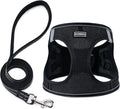 Dog Harness with Leash Set, Step-in Adjustable Puppy Pet Vest, Black XS | Lightweight Breathable Air Mesh, Night Safety Reflective, No Pull Puppy Vest Harnesses for Small Medium Large Dogs, Cats by BOOMIBOO