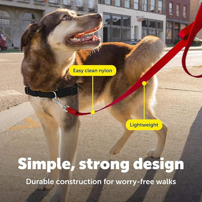 PetSafe Nylon Dog Leash - Strong, Durable, Traditional Style Leash with Easy to Use Bolt Snap - 1 in. x 4 ft., Red | Durable Nylon Leash with Easy on/off Bolt Snap Hook, Pairs Perfectly with Easy Walk Harness and Gentle Leader Headcollar - Image 4