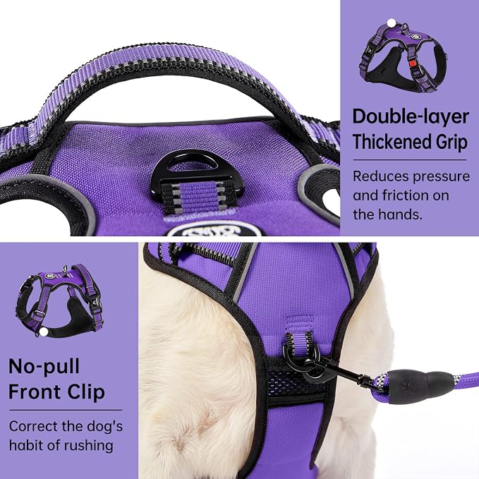 IVY&LANE No Pull Dog Harness for Large Dogs, Dog Vest Harness with Leash, Safety Belt and Storage Strap, Fully Adjustable Harness, 360° Reflective Strip, Soft Handle (Purple, L) - Image 5