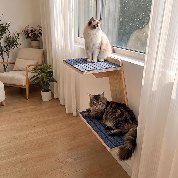 FlyonSea Large Cat Wall Shelves, Solid Wood Wall Mounted Cat Climbing Perch | Floating Kitty Wall steps with Non-slip Carpet, Corner Kitty Wall Furniture Supports up on 25lb, Cat Window Perch, Playing - Image 4