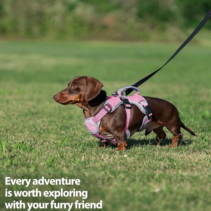 Escape Proof Dog Harness, Dachshund Harness, Reflective Dog Harness with Handle, Durable,Adjustable Vest for Small Medium Large Dogs Walking, Training, and Running Gear (Pink,M) - Image 7