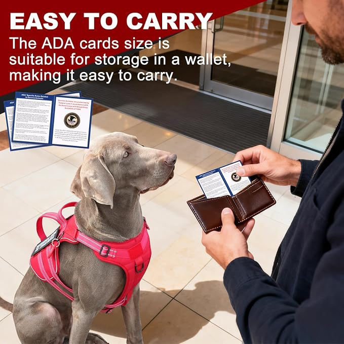 Service Dog Harness + ID Tag 50 ADA Information Cards - No Pull Dog Vest 10 PCS Removable Patches - Reflective Emotional Support Animal Vest for Large Dogs - Adjustable Breathable ESA Training Vest - Image 3