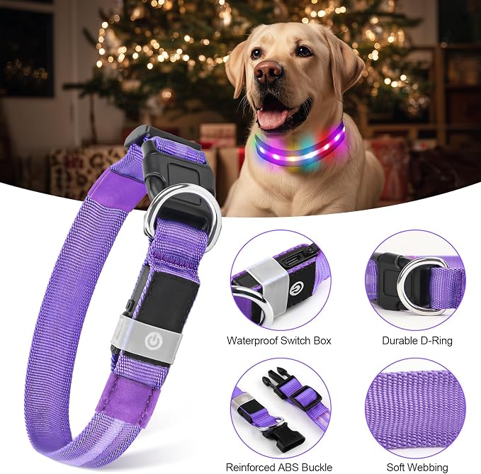 LED Dog Collar, RGB Light Up Dog Collar USB Rechargeable 6 Modes | Waterproof Light Up Dog Collar with Soft Nylon Comfort, Adjustable Fit for Small Medium Large Dogs Purple M - Image 4
