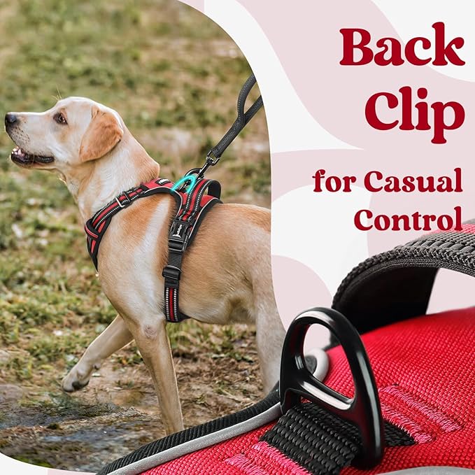 rabbitgoo Dog Harness Medium Sized, Updated Easy On & Off with 3 Buckles | No Pull No Choke, Walking with 2 Clips and Handle, Adjustable Soft Reflective, Red, Medium - Image 6