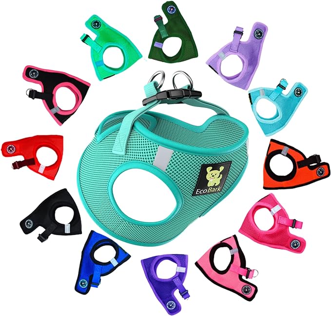 EcoBark Step in Dog Harness - Reflective Soft Luxurious Mesh Dog Harnesses for XXS, XS, Small, and Medium Dogs - Eco-Friendly Comfort Secure Halter No Pull Adjustable Pet Vest (Mint, Small) by EcoBark