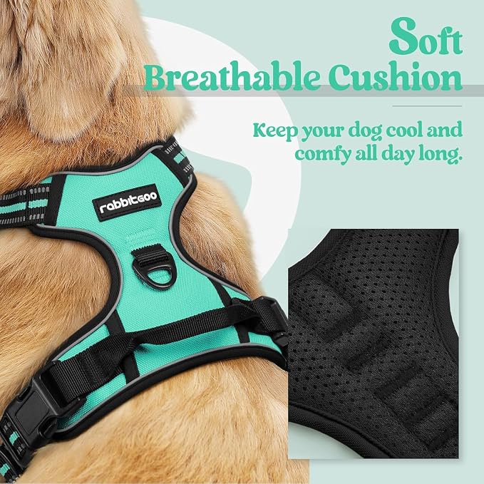 rabbitgoo Dog Harness, No Pull for Large Dogs with 2 Leash Clips, Pet Vest | No Choke with Handle, Adjustable Soft Padded, Reflective, Easy Control for Walking, Turquoise, X-Large - Image 2