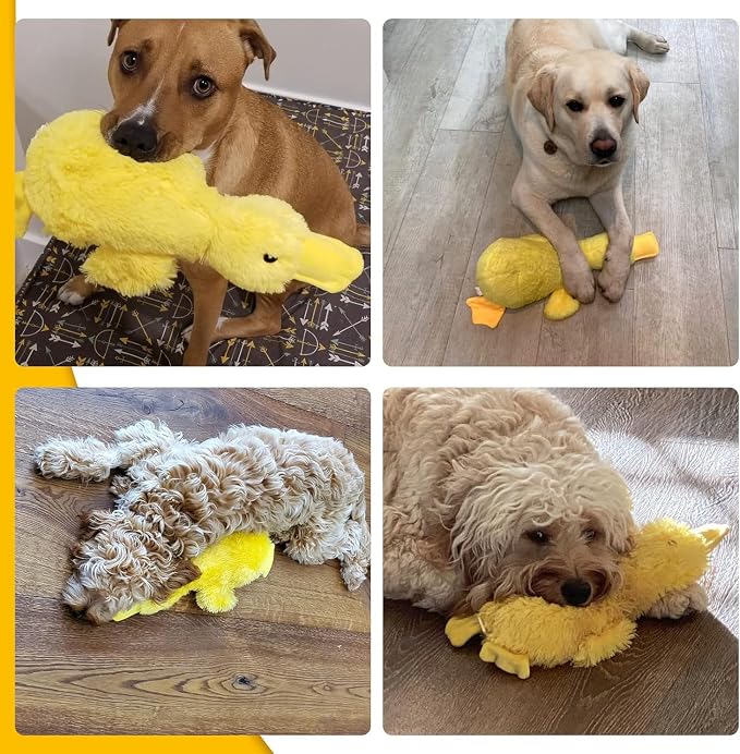 Mihachi Plush Squeaky Dog Duck Toys - Stuffed Pet Toy Duck Interactive Gifts for Dog Birthday Dogs Puppy Biting Chew Toys - for Medium and Large Dogs - Image 9