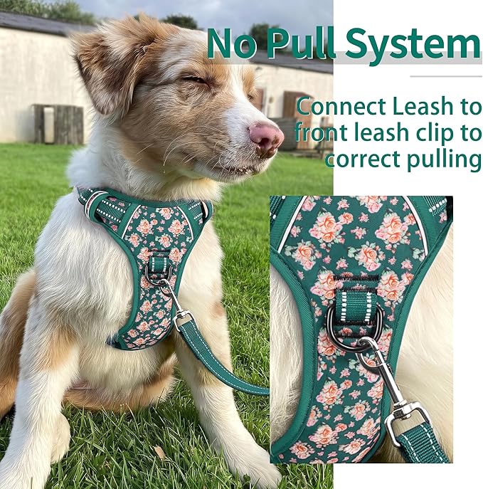 HEELE Dog Harness, Reflective, No Pull No Choke, Flower Grass Green, S | Front Clip for Small Dog Harness, 2 Metal Rings with Handle, Adjustable, Soft Breathable Padded Pet Vest for Night Walking - Image 5