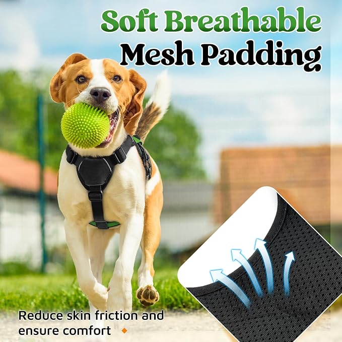 rabbitgoo Escape Proof Dog Harness for Small, No Pull with Lift Handle | No Escape, Full Soft Padded, Reflective Adjustable Vest, Leash Clip for Walking Hiking Training, Green, Small - Image 6