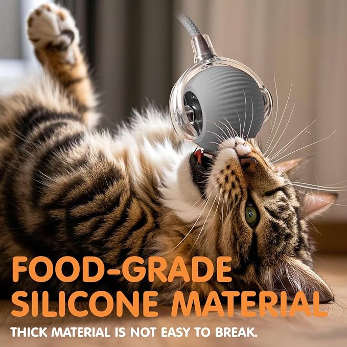 Rocfish Durable Interactive Cat Toys for Indoor Cats (Grey, 01) | Smart Automatic Cat Chase Ball Toy, Upgraded Speedy Tail Kitten Toy for Bored Indoor Adult Pets - Image 5