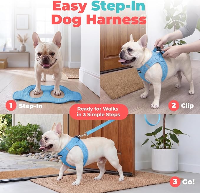 Voyager Step-in Air Dog Vest Harness - Sky Blue, XXX-Small | 11 - 12" in Chest, Reflective Bands, All Weather Breathable Air Mesh, Cats Compatible, Lightweight, Fast Drying - Image 3