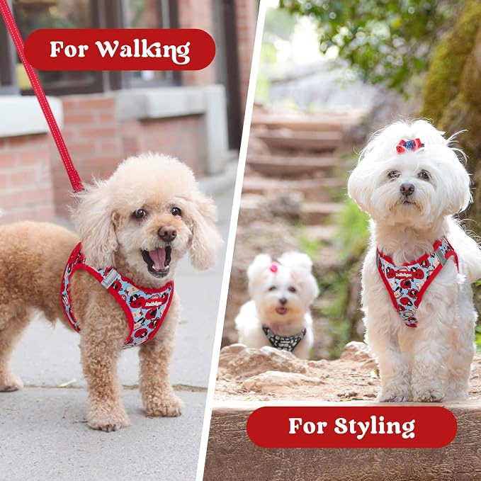 rabbitgoo Step-in Small Dog Harness, Puppy Vest for Small Sized Pet | Easy Put on and off, Lightweight, Soft, Breathable Quick-Dry Air Mesh for Comfortable Secure Walking, Apple Pups M - Image 9