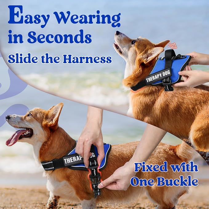 rabbitgoo No Pull No Choke Pet Vest, Adjustable Pet Harness with Molle | Small Sized Dog Harness, Reflective, Easy Wearing with One Buckle for Walking, Training, Blue, S - Image 2