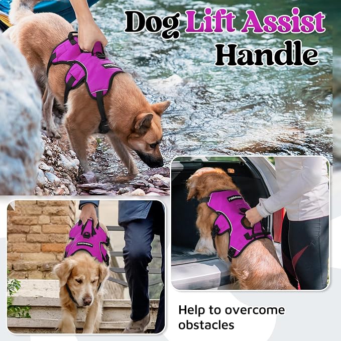 rabbitgoo Escape Proof Dog Harness for Large, No Pull with Lift Handle | No Escape, Full Soft Padded, Reflective Adjustable Vest, Leash Clip for Walking Hiking Training, Purple, Large - Image 3