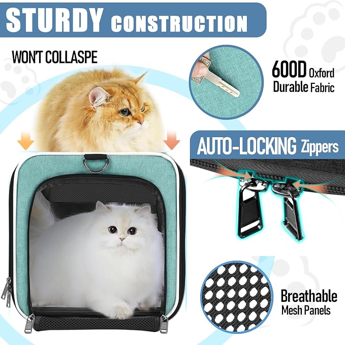 GAPZER Large Cat Carrier Soft, Collapsible Travel Pet Carry Bag, Small Dogs | Big Kitten Cat 20lbs Mainecoon, Top Open Travel Shih-Tzu Pet Kennel, Yorkie Small Dog 10 Pounds, 18x12x12, Durable Cloth Teal - Image 4