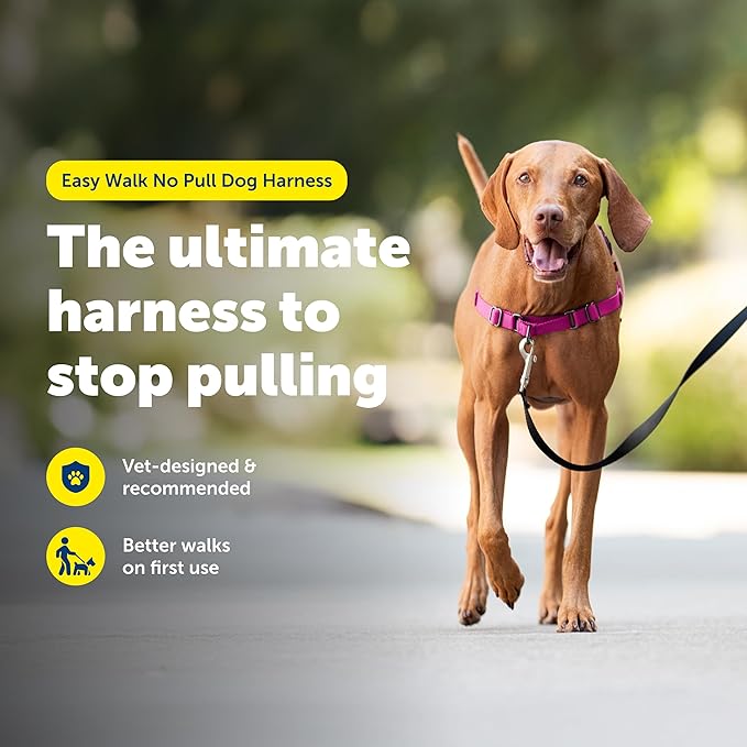 PetSafe Easy Walk Harness, No Pull Dog Harness, Medium, Raspberry | Patented Martingale Loop Gives Gradual Shoulder Pressure to Stop Pulling, Front-Chest Leash Clip Prevents Gagging - Image 2