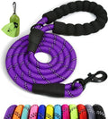 Taglory Rope Dog Leash for Medium Large Dogs, 4 FT Padded Handle, Purple | Climbing Rope for Strong Pullers, Reflective for Night Walks and Training, Comfortable Grip, Anti-tangle Swivel Clip 1/2 inch by Taglory
