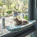 YUNIQUE Cat Window Perch with Cushion Rim, Upturned Edge Bracket, Portable Wall Hammock for Indoor Cat, Green by YUNIQUE