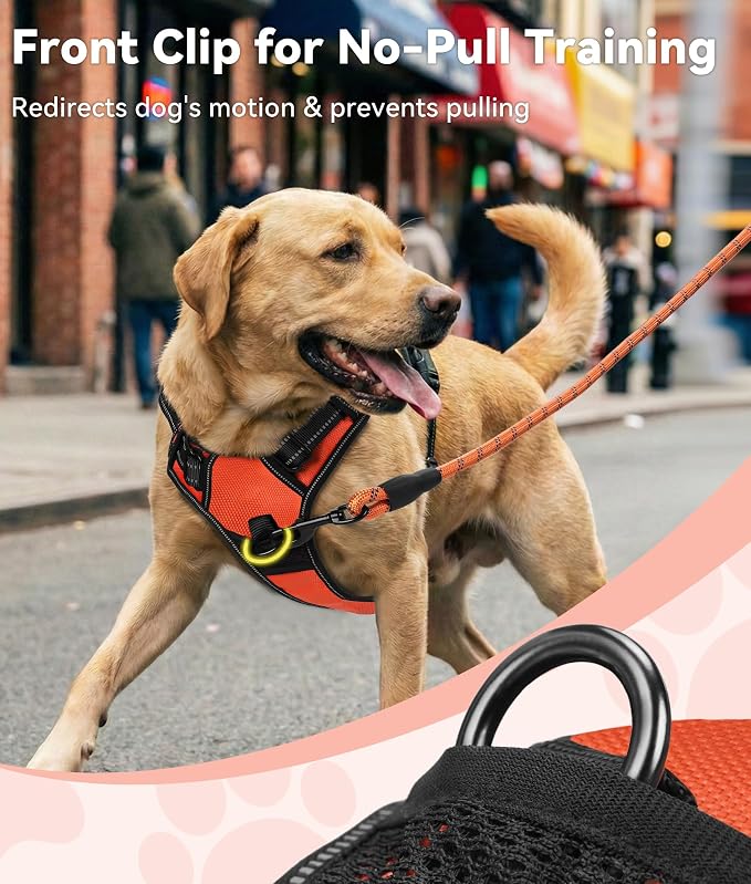 Joytale No Pull Dog Harness for Small Dogs, Front Clip, Orange | Grab Handle for Instant Control, Padded & Adjustable Vest, Sturdy Metal D-Rings, for Safe Training & Daily Walking - Image 2