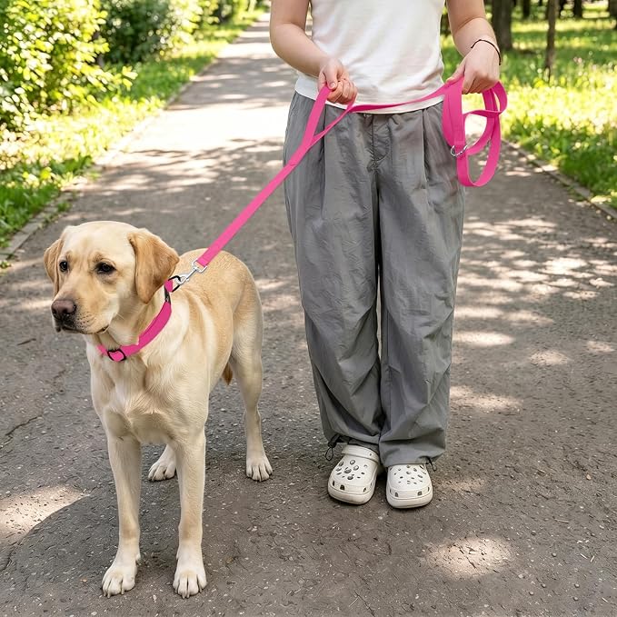 Waterproof Dog Leash with Double Handle, 6 FT Durable Odor-Proof Dog Leashes with Strong Aviation Aluminum Hooks Fits Small Medium or Large Dogs - Image 6