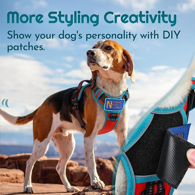 Eagloo Dog Harness No Pull for Small Dogs, Easy On & Off with 3 Buckles | No Choke with Front Clip, Adjustable Fit, MOLLE System, Reflective Vest, Easy Control for Walking, Red & Teal, Small - Image 3