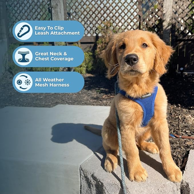 Best Pet Supplies Voyager Step-in Air All Weather Mesh Harness and Reflective Dog 5ft Leash Combo with Neoprene Handle, for Small, Medium and Large Breed Puppies - Royal Blue, XXX-Small - Image 5