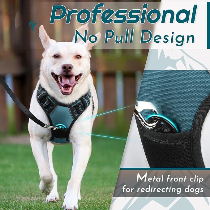 Eagloo Dog Harness for Large Dogs, No Pull Pet Vest with 2 Leash Clips | No Choke with Handle, Adjustable Comfort Fit, Reflective Strips, Easy Walking Control, Dark Green, X-Large - Image 2