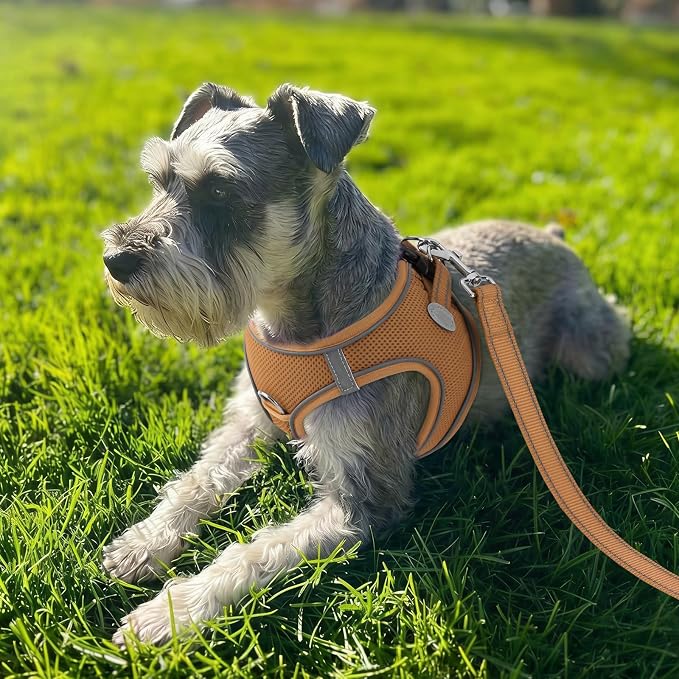 Joytale Step-in Dog Harness, Soft Breathable Mesh, Brown XS | Adjustable Fit for Small Dogs, Easy Step-in with Secure Fastener, Even Chest Pressure, Reflective For Night Safety, Washable - Image 2