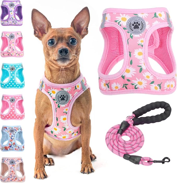 BEAUTYZOO Small Dog Harness and Leash Set,No Pull Puppy Pet Vest-Daisy, XS | Step-in Easy On/Off, All Season Breathable Mesh,Escape-Proof Hook & Loop,Lightweight Reflective,No Choke,Easy Walking Control by BEAUTYZOO