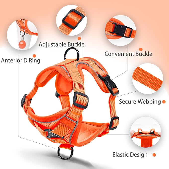 Dog Harness Medium Sized Dog Pet Vest with Leash Set Orange L | Adjustable Puppy Vest Harness, No Choke No Pull, Soft Padded, Step-in Dog Vest, Reflective Cat Harness, Breathable Air Mesh - Image 3